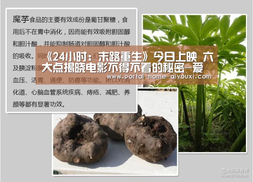 爱游戏官方