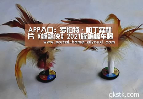 APP入口