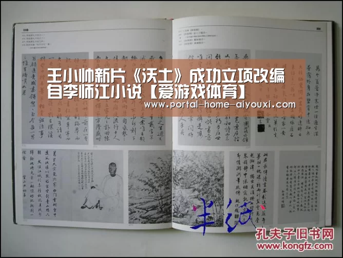 王小帅新片《沃土》成功立项改编自李师江小说【爱游戏体育】(图1) 爱游戏官网