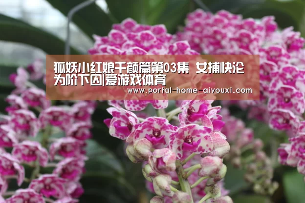 狐妖小红娘千颜篇第03集 女捕快沦为阶下囚|爱游戏体育(图4) 爱游戏官网