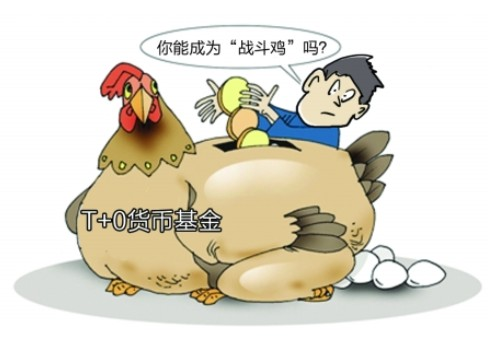 APP入口