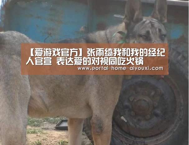 爱游戏官方